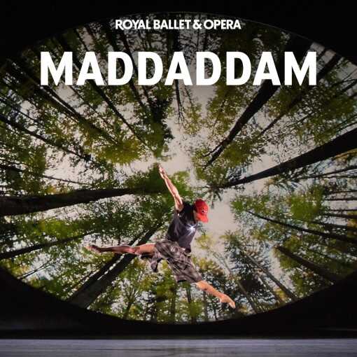 MADDADDAM